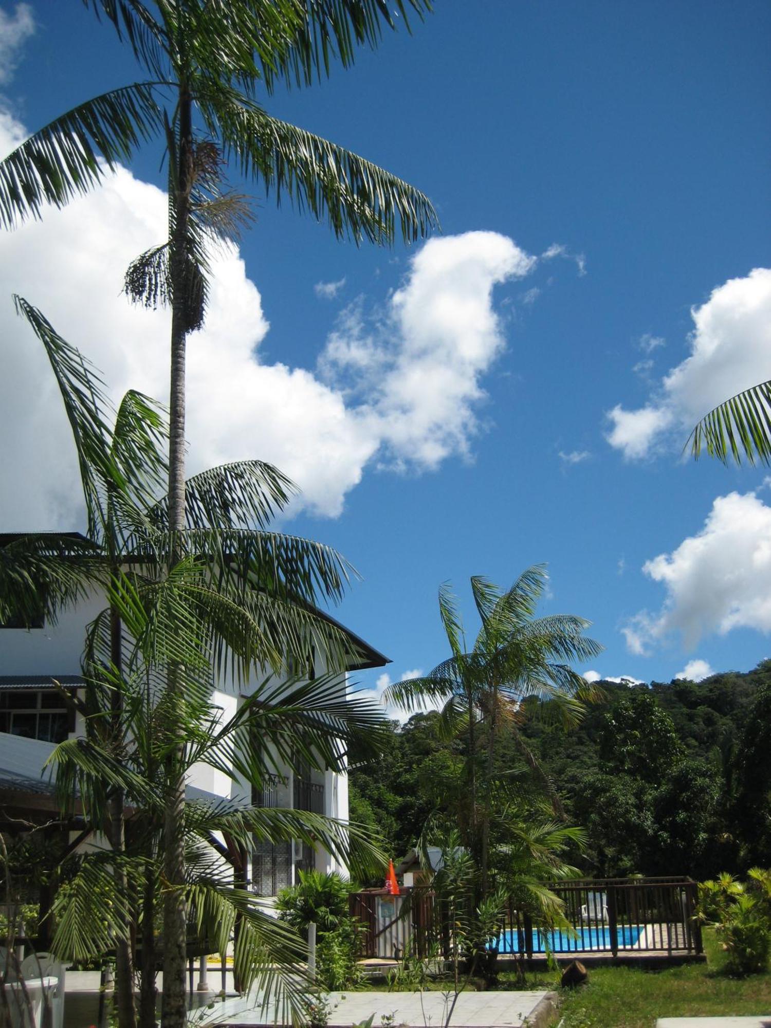 Hotel La Marmotte Matoury ภายนอก รูปภาพ